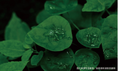 华远·海蓝城（涿州）︳十