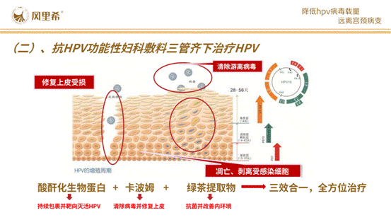 风里希抗HPV功能性妇科敷料12月18日_20220106091354_16